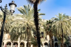 PLACA REIAL