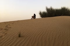 DESERT