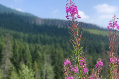 HIGH TATRAS