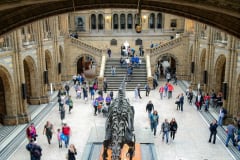 NATURAL HISTORY MUSEUM